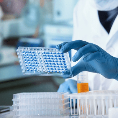 DRUG SCREENING